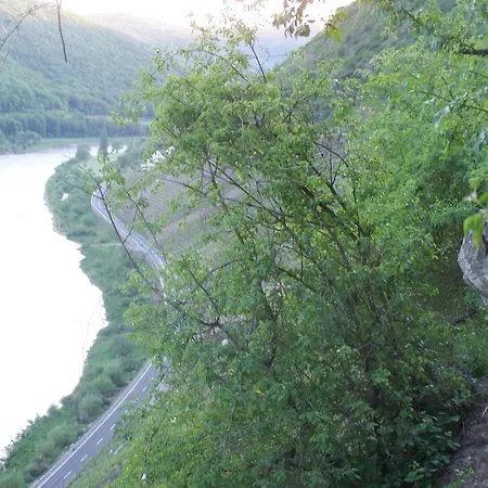 酒店 弗里茨酒店