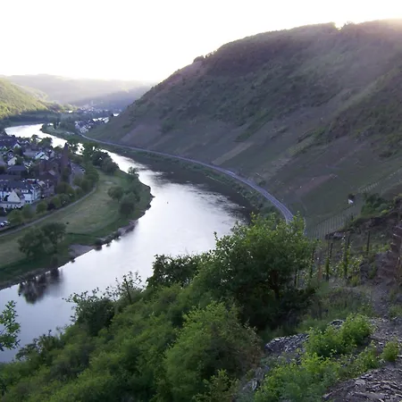 酒店 弗里茨酒店