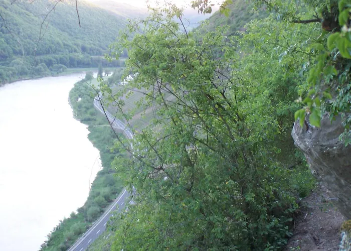 酒店 弗里茨酒店