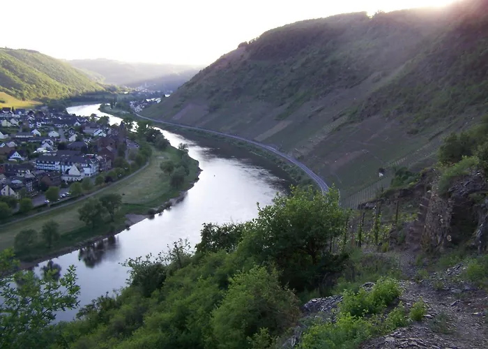 酒店 弗里茨酒店