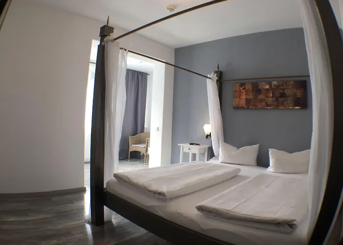 酒店 弗里茨酒店 3*